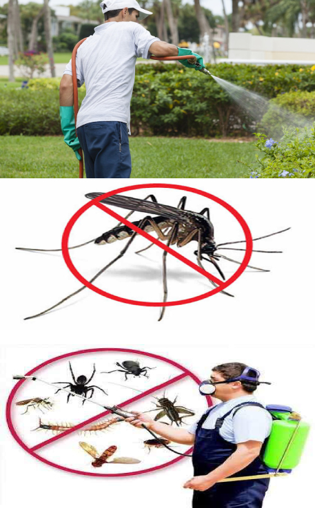 mosquito pest control